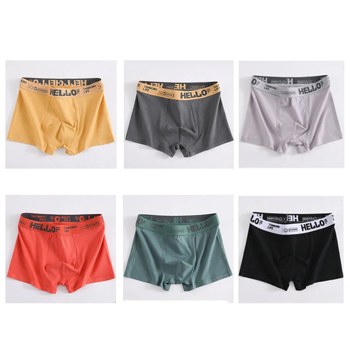 【Pachet special】💥(6articole)  【L-4XL】Boxer bărbați din bumbac